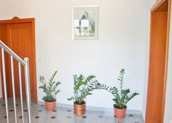 Hotel Dario
